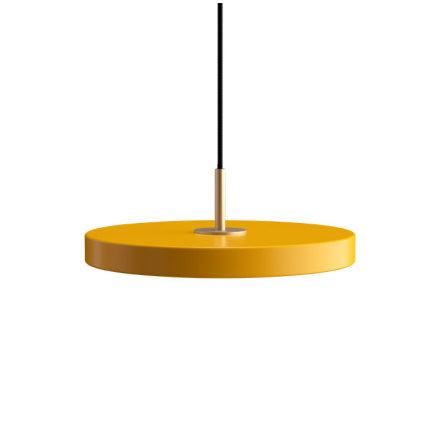 Asteria Mini saffron yellow  31 x 10,5 cm, 2.7m cordset