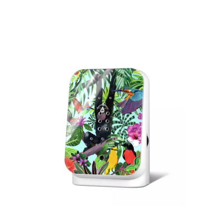 Junglebox Speldosa Tropic