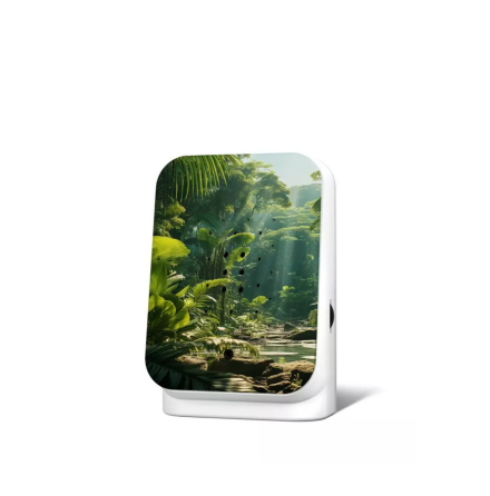 Junglebox Speldosa Maliau